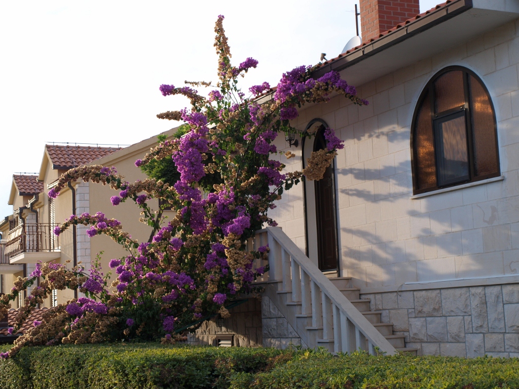 P9159852 (1024x768).jpg