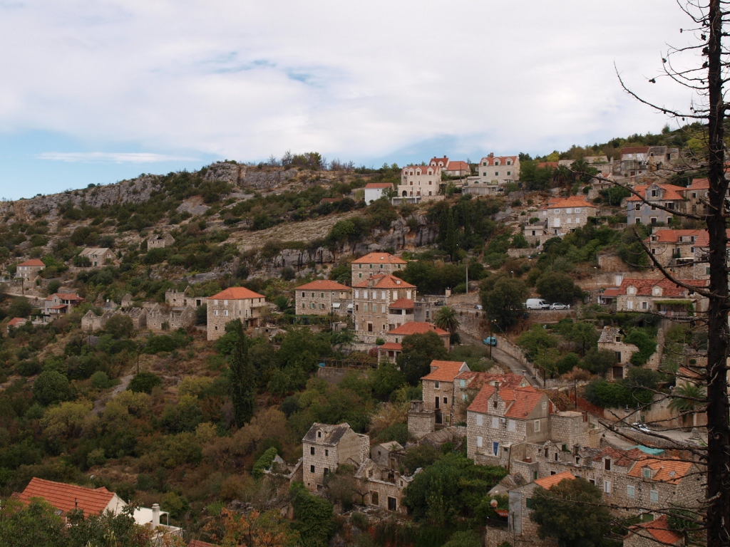 P9169922 (1024x768).jpg