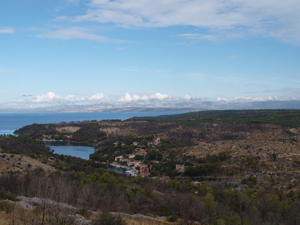 P9169925 (1024x768).jpg