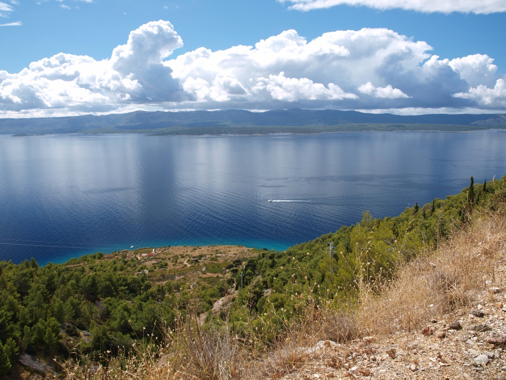 P9169952 (1024x768).jpg