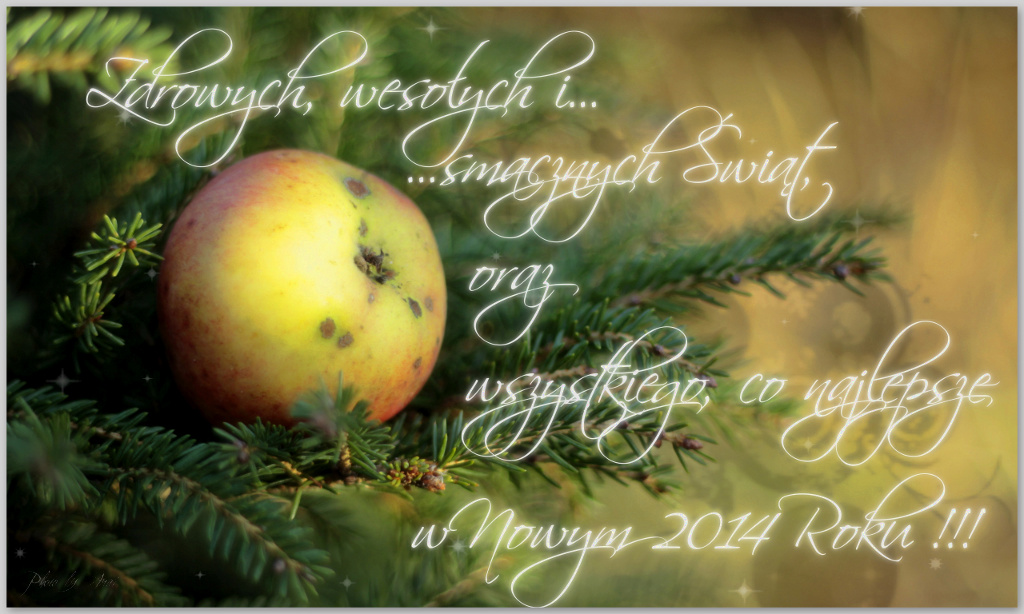 śfienta na blogaska.jpg