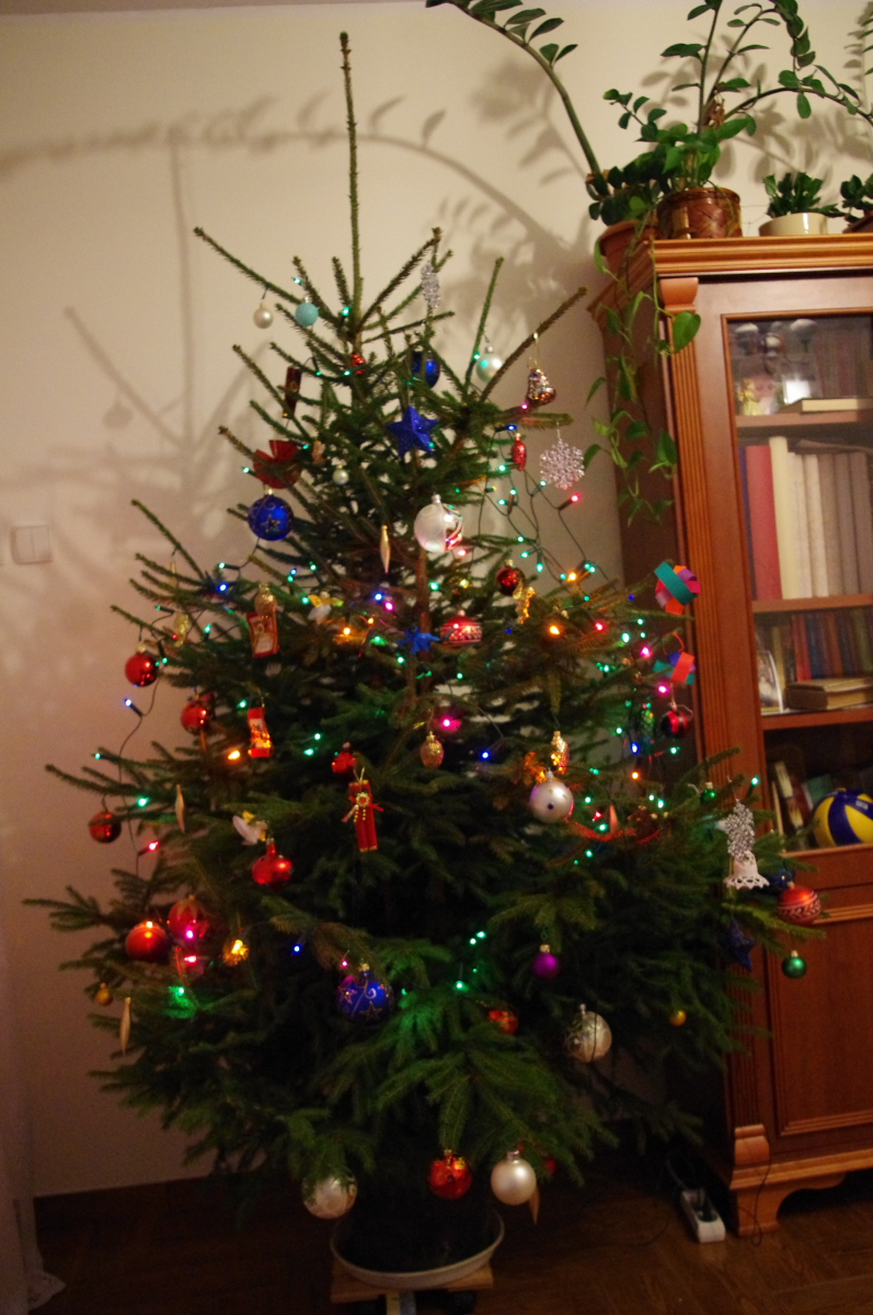 choinka.jpg