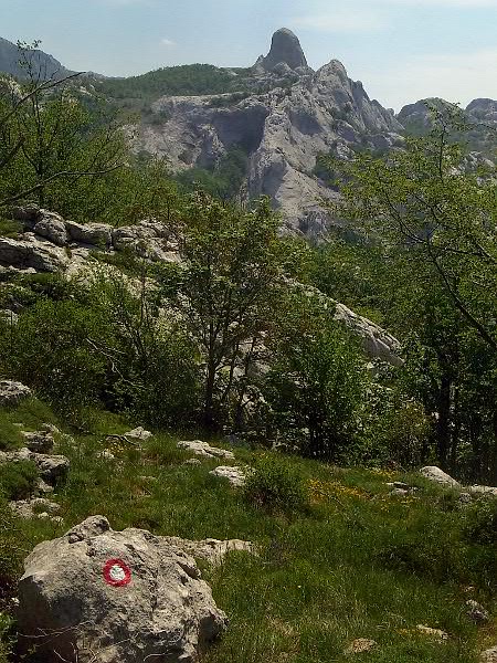 P21G1052.JPG P21G1052.JPG