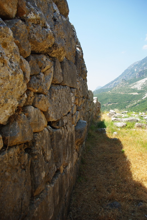 Elea / IMGP9310_resize.JPG IMGP9310_resize.JPG