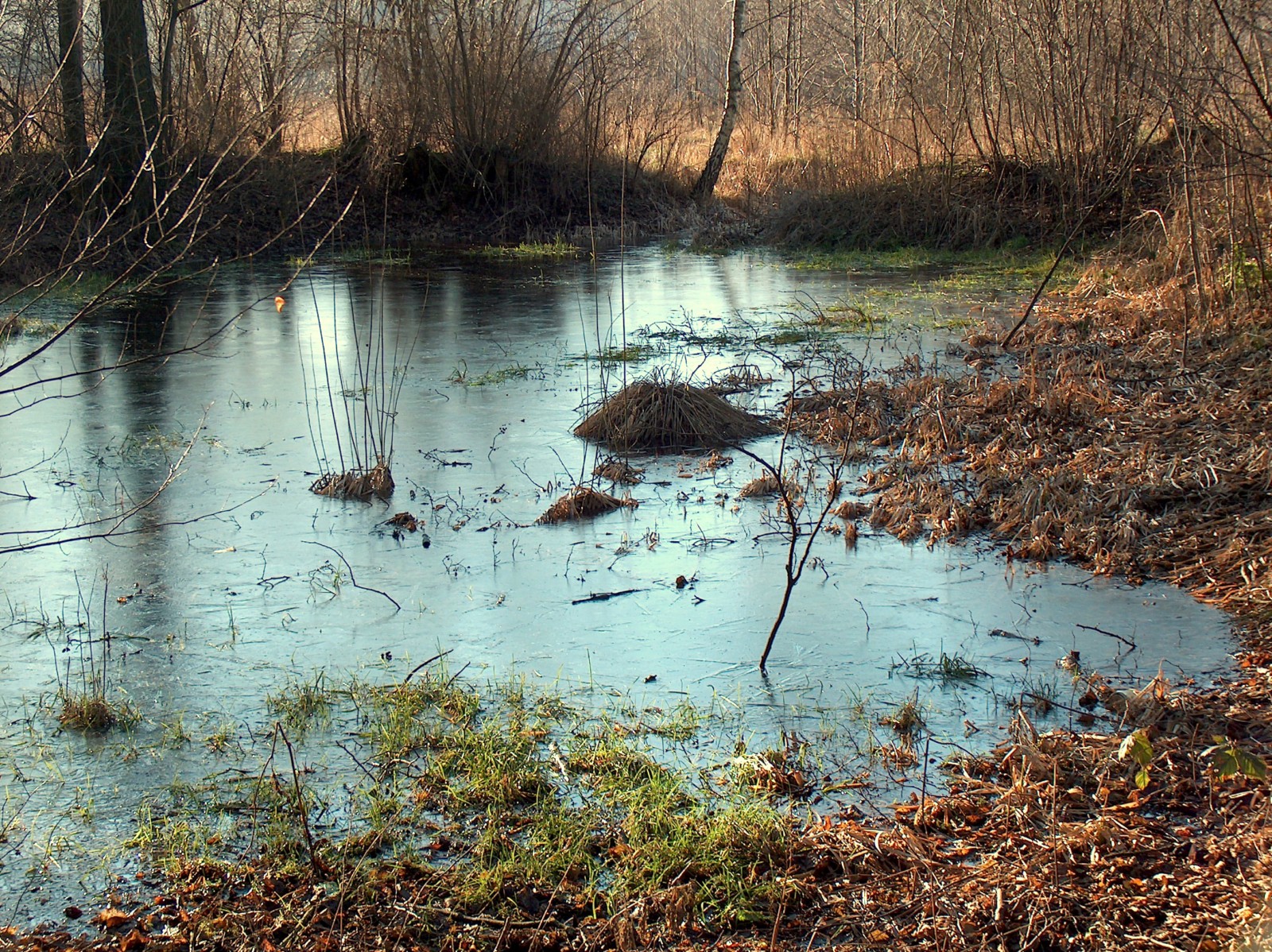 2005 [1600x1200].jpg