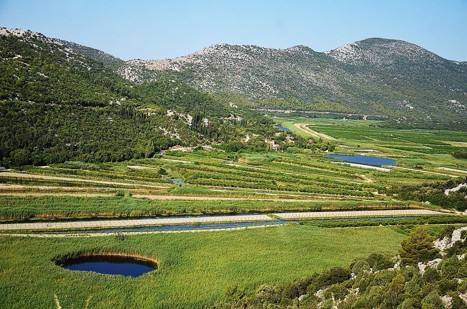 DSC_0016.JPG DSC_0016.JPG