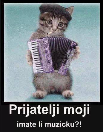 Pytanie.jpg