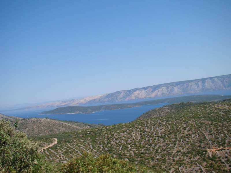 DSC06833 [800x600].jpg