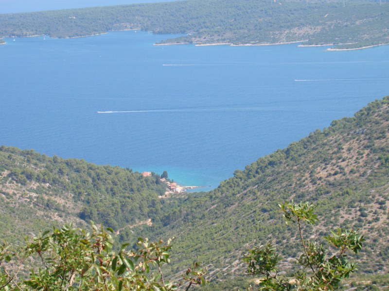 DSC06835 [800x600].jpg