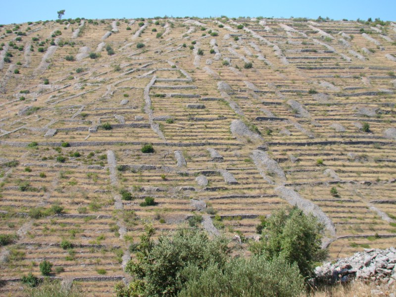 DSC06839 [800x600].jpg