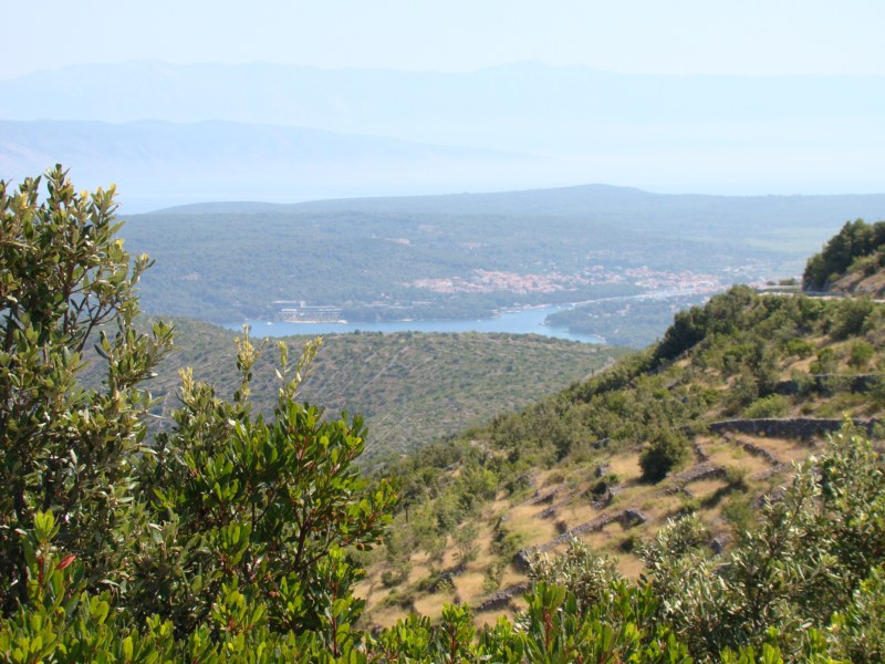 DSC06843 [800x600].jpg