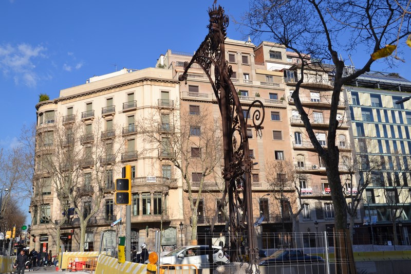 DSC_0404 (Kopiowanie).JPG