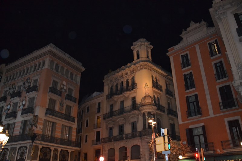 DSC_0444 (Kopiowanie).JPG