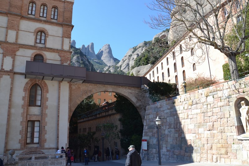 DSC_0571 (Kopiowanie).JPG