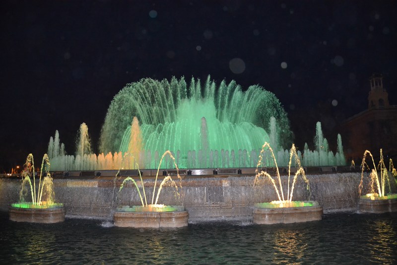 DSC_0877 (Kopiowanie).JPG