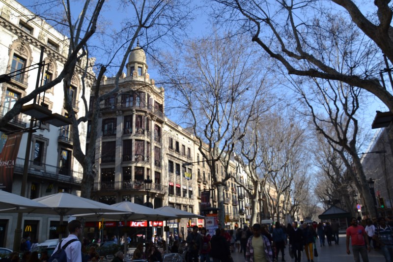 DSC_0201 (Kopiowanie).JPG