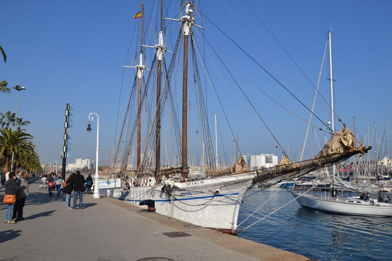 DSC_0234 (Kopiowanie).JPG