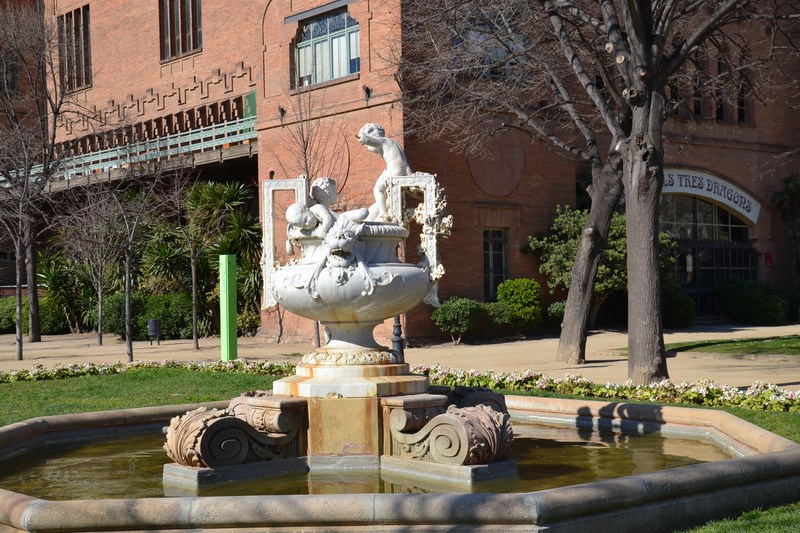 DSC_0313 (Kopiowanie).JPG