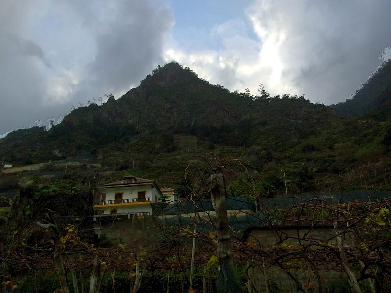 P20G0360.JPG P20G0360.JPG