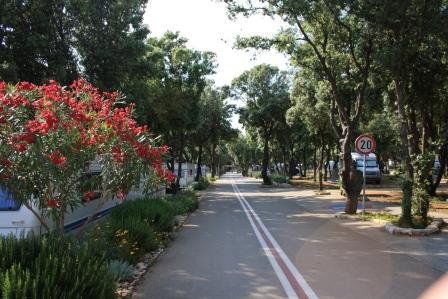 Strasko_01.jpg Strasko_01.jpg