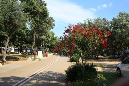 Strasko_04.jpg Strasko_04.jpg