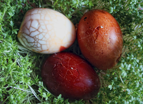 fotka z internetu.jpg