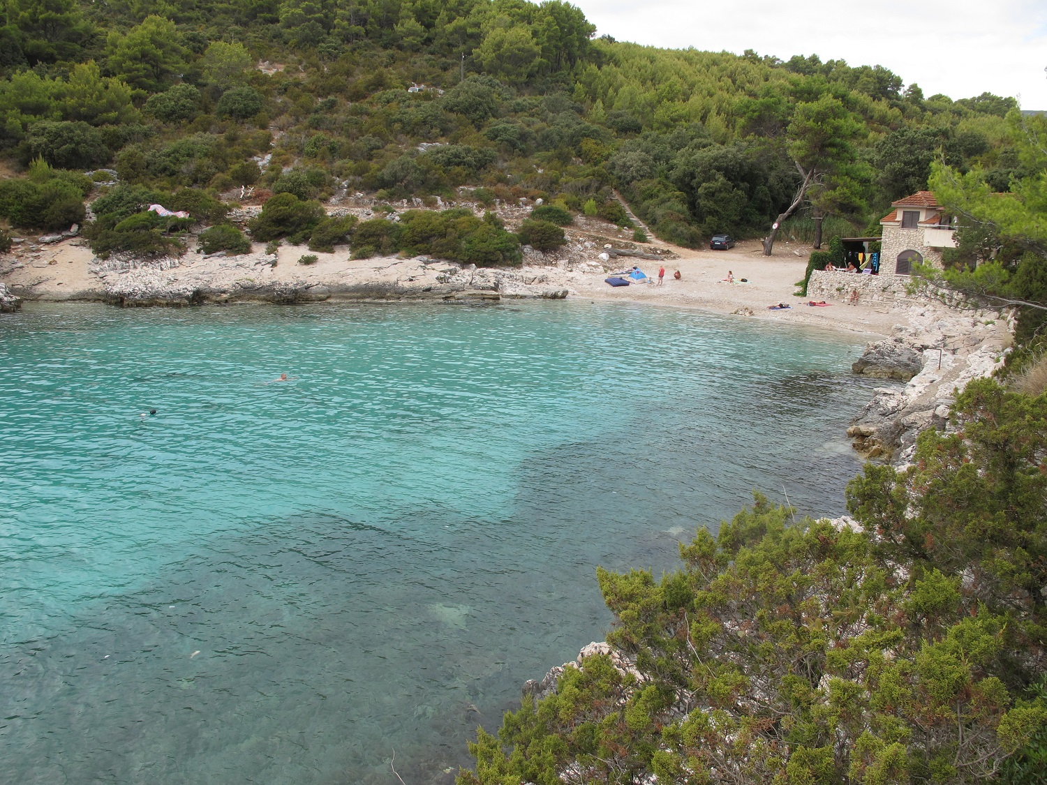 IMG_2146a.jpg IMG_2146a.jpg