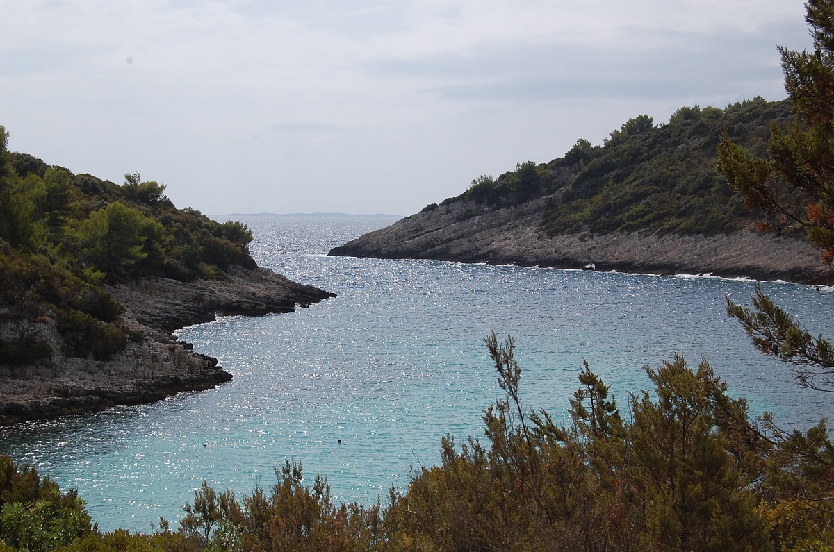 DSC_6378a.jpg DSC_6378a.jpg