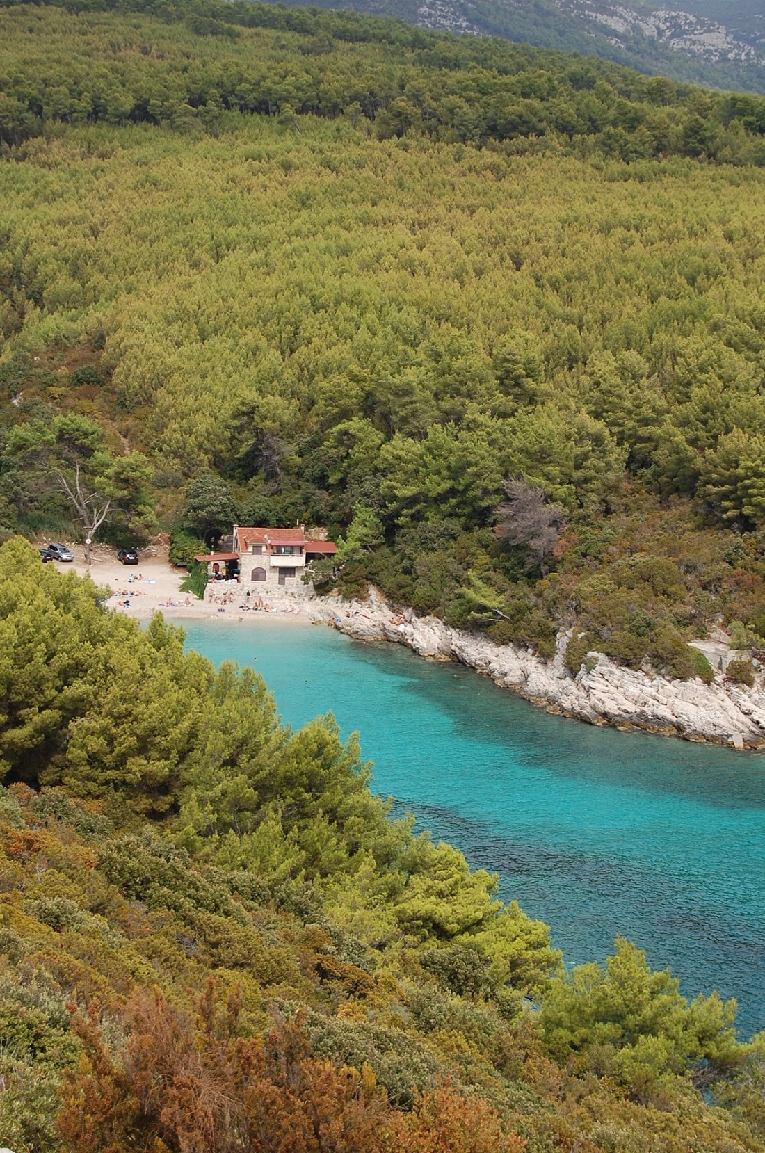 DSC_6506.JPG DSC_6506.JPG