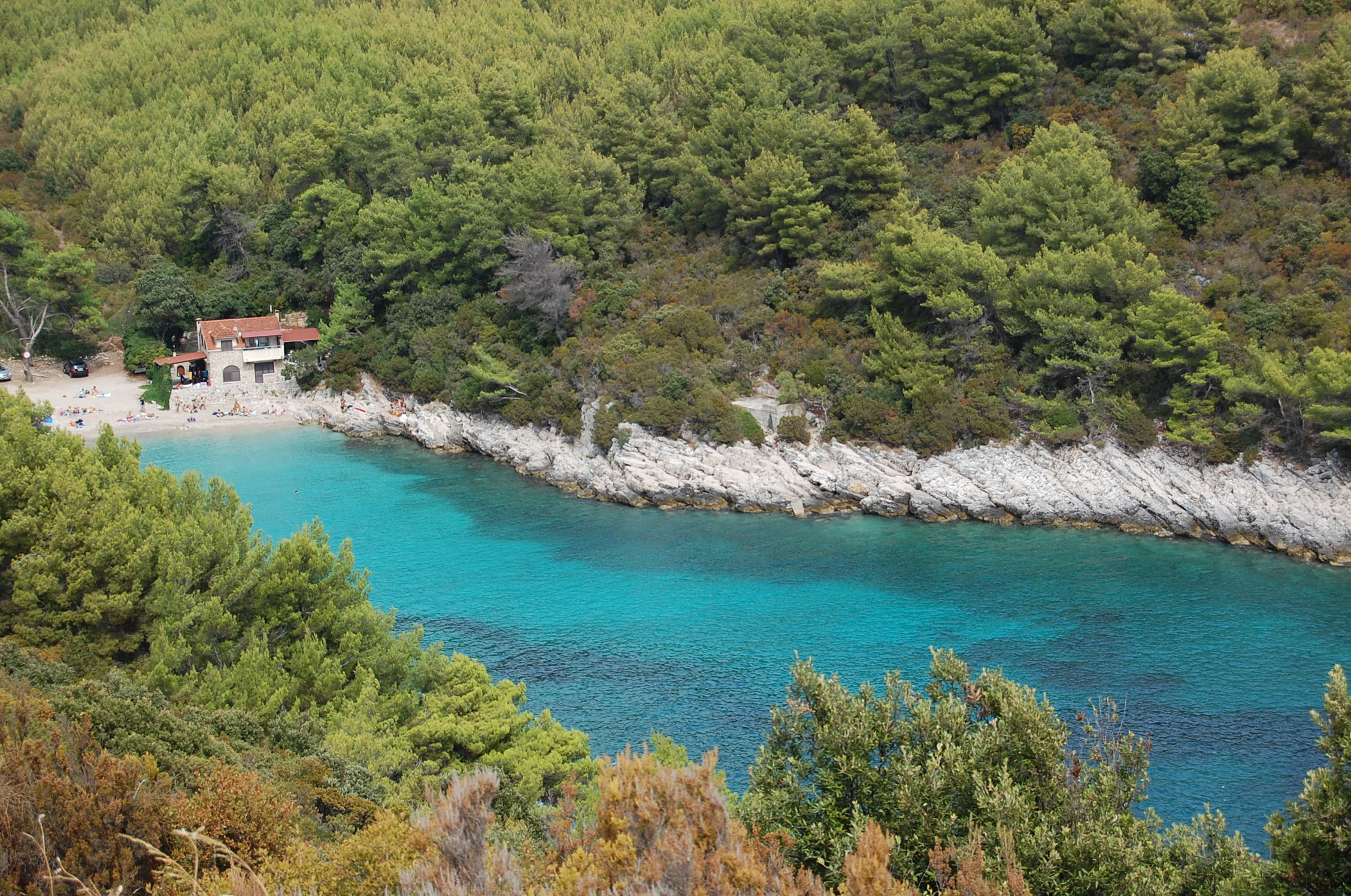 DSC_6515.JPG DSC_6515.JPG