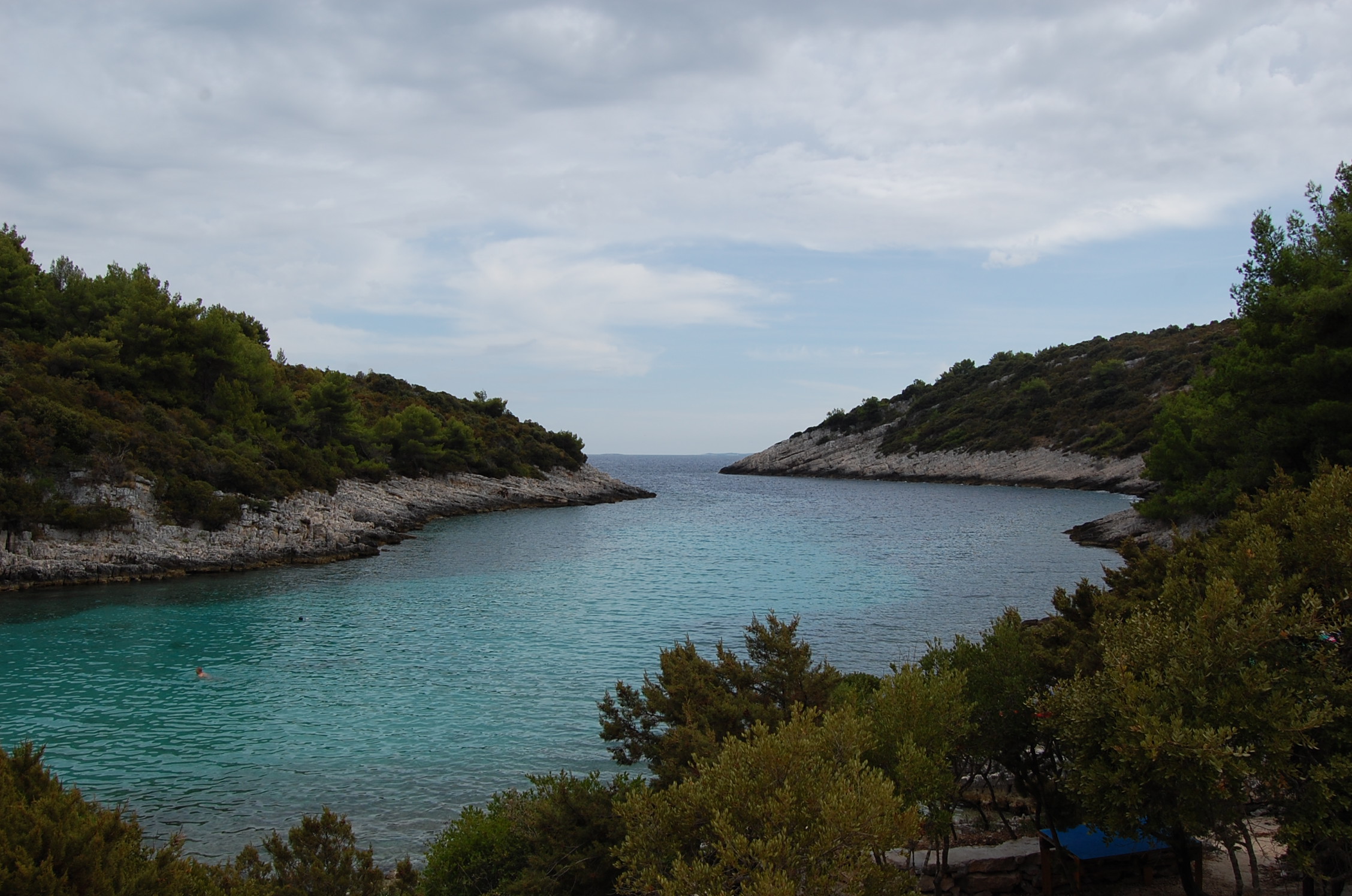 DSC_6531.JPG DSC_6531.JPG