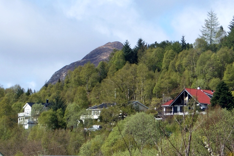 kw10.JPG
