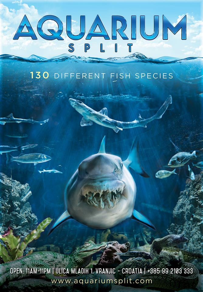 Aquarium Split.jpg