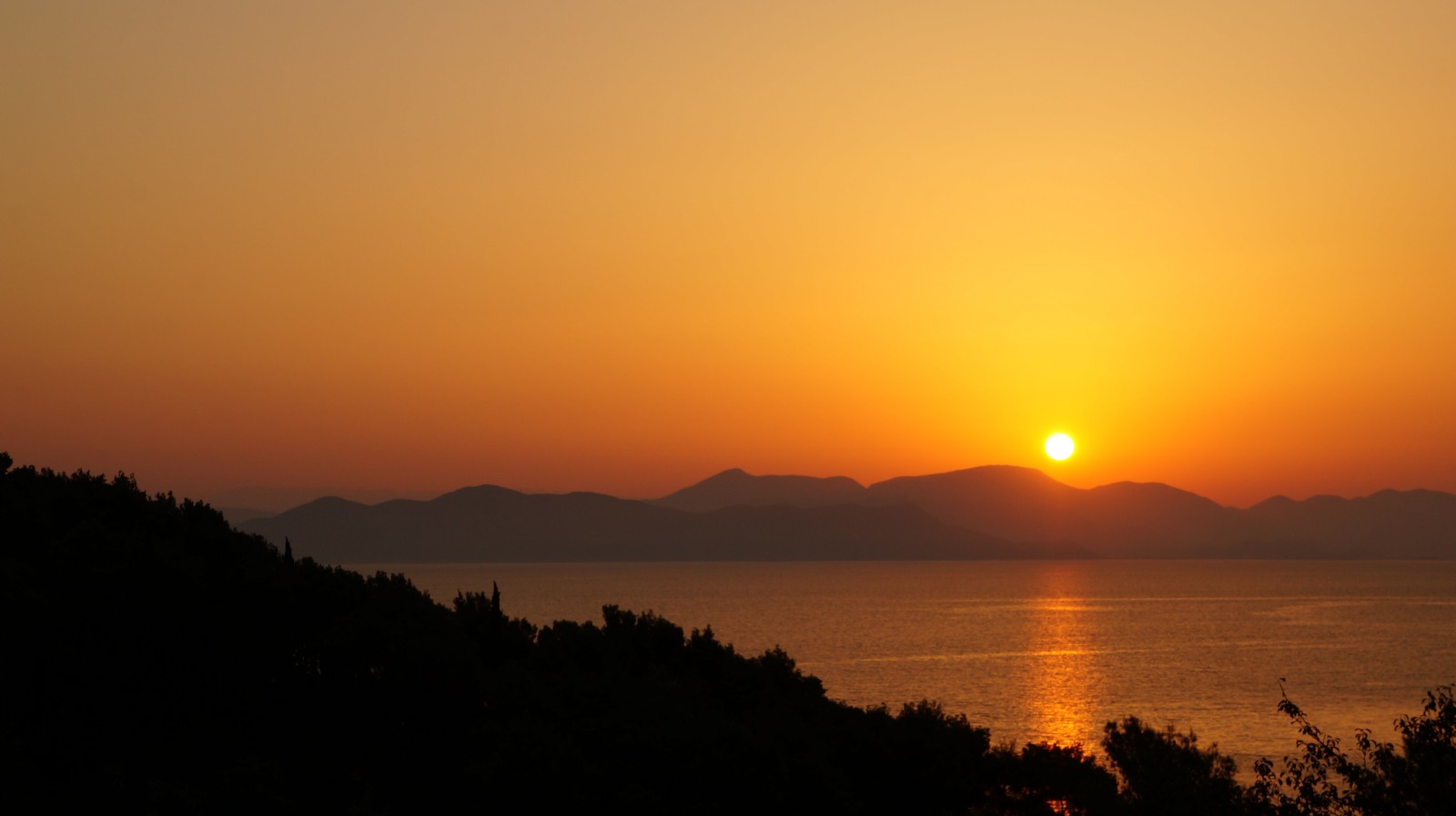 DSC01310 [1600x1200].JPG