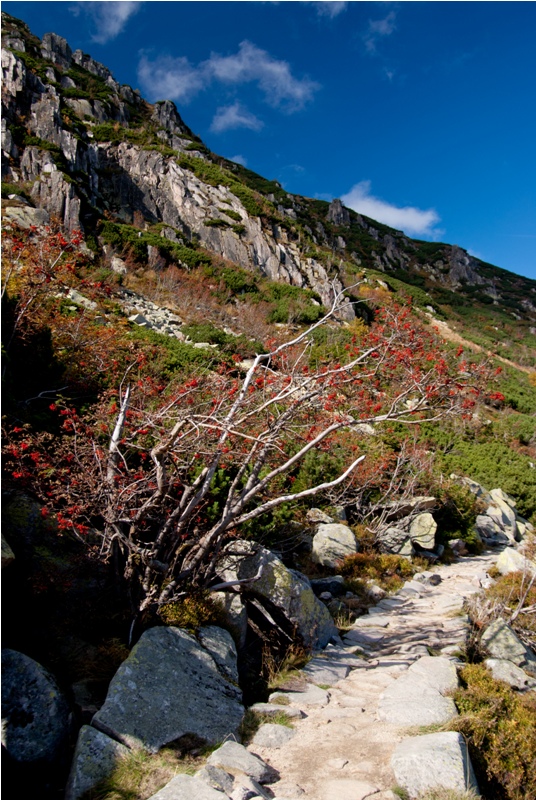 Strzecha Akademicka IMGP1520.jpg