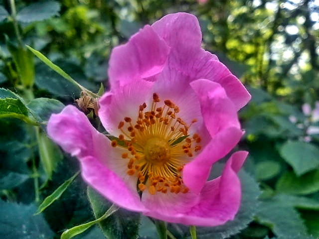 DSC07411.jpg