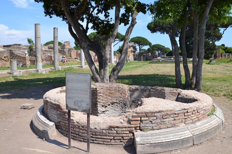 DSC_0480 (Kopiowanie).JPG