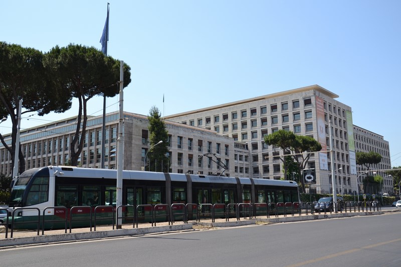 DSC_0653 (Kopiowanie).JPG