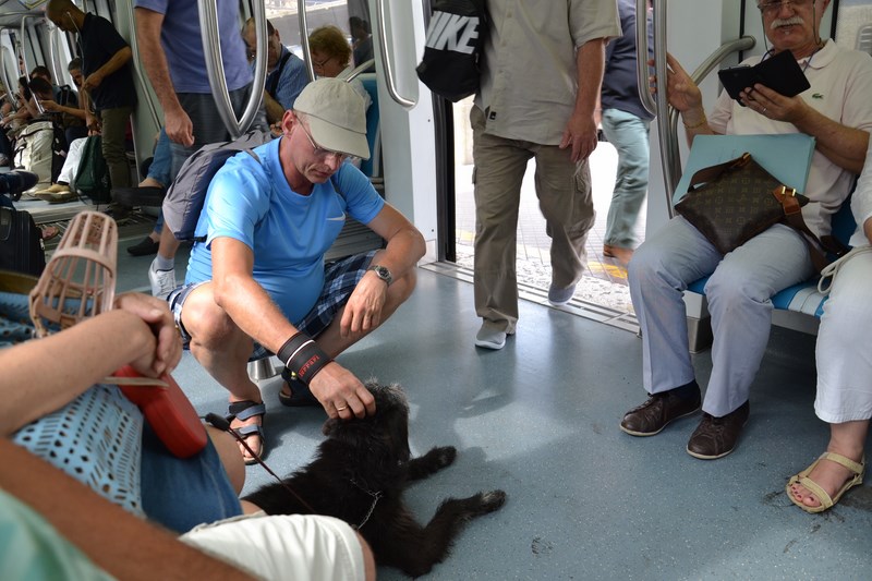 DSC_0767 (Kopiowanie).JPG