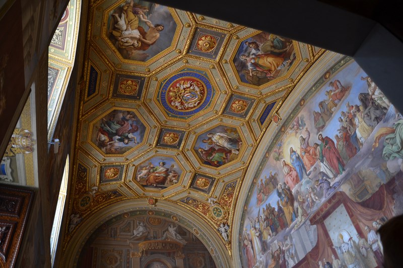 DSC_0921 (Kopiowanie).JPG