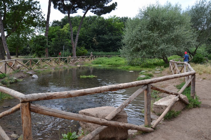 DSC_0198 (Kopiowanie).JPG