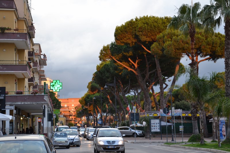 DSC_0671 (Kopiowanie).JPG