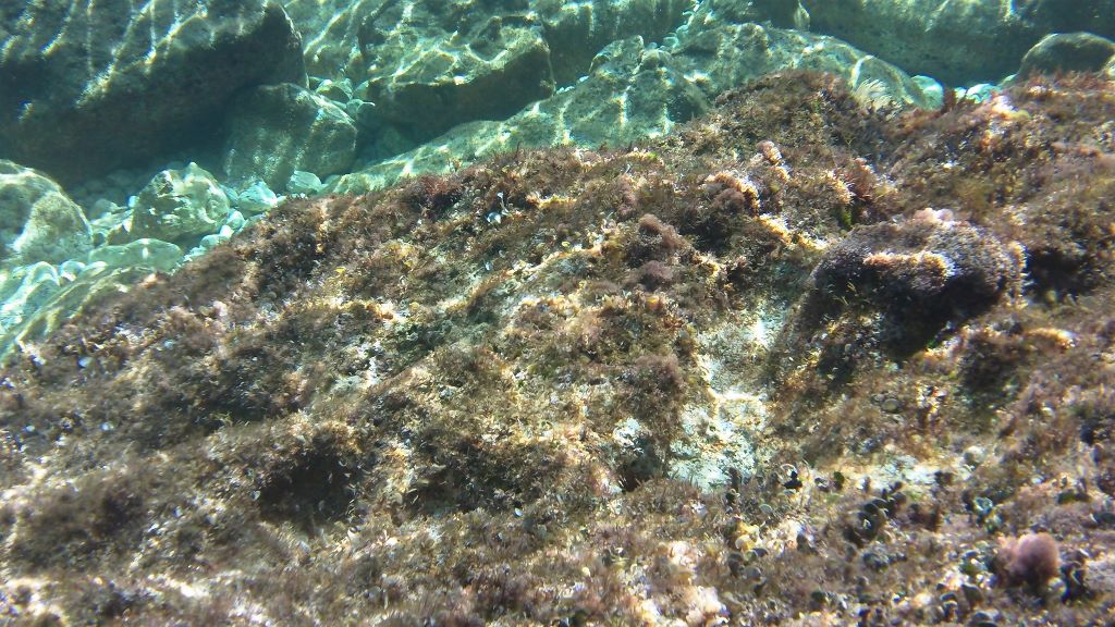 100_0059 (1024x576).jpg