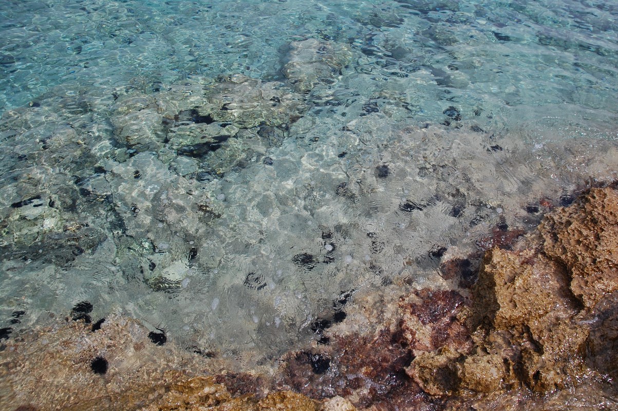 DSC_0546 (Kopiowanie).JPG