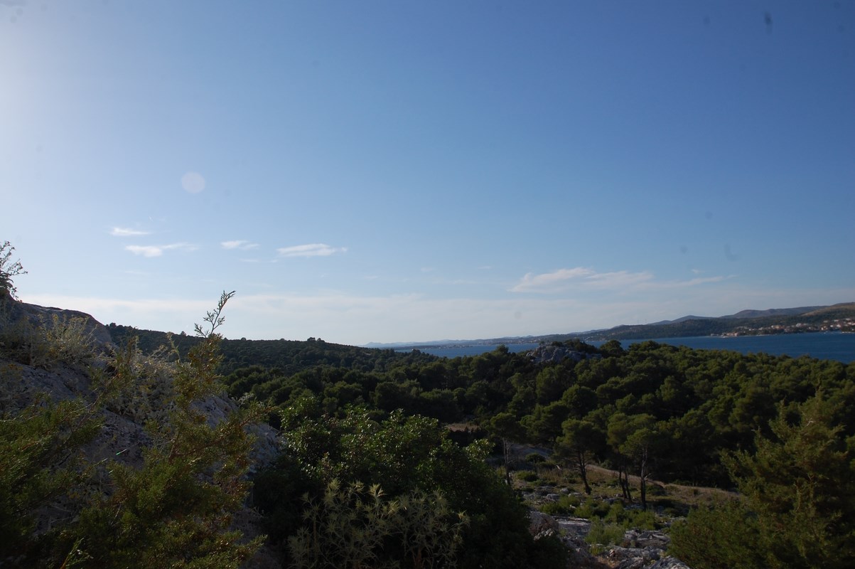 DSC_1453 (Kopiowanie).JPG