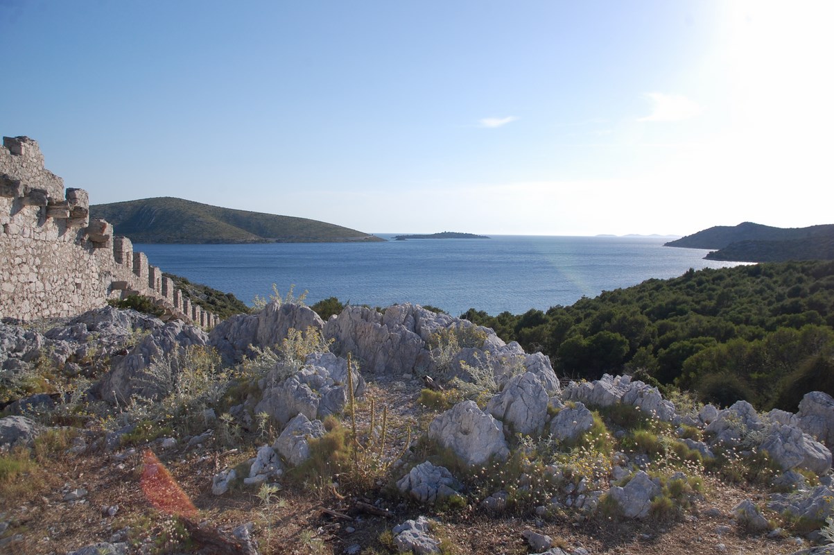 DSC_1456 (Kopiowanie).JPG