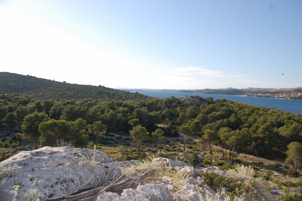 DSC_1460 (Kopiowanie).JPG