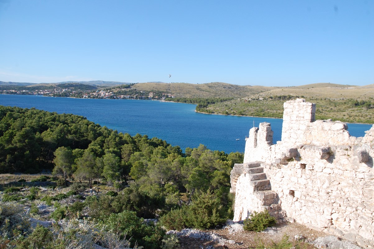 DSC_1461 (Kopiowanie).JPG