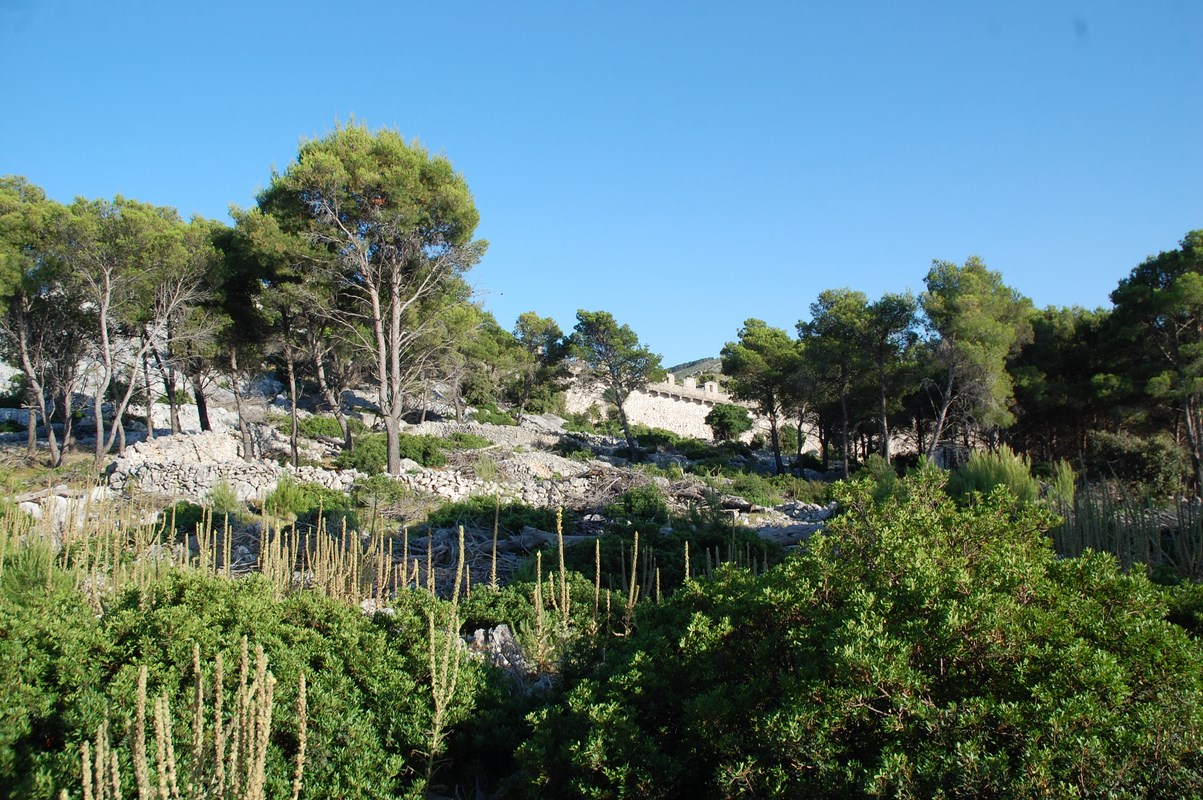 DSC_1494 (Kopiowanie).JPG