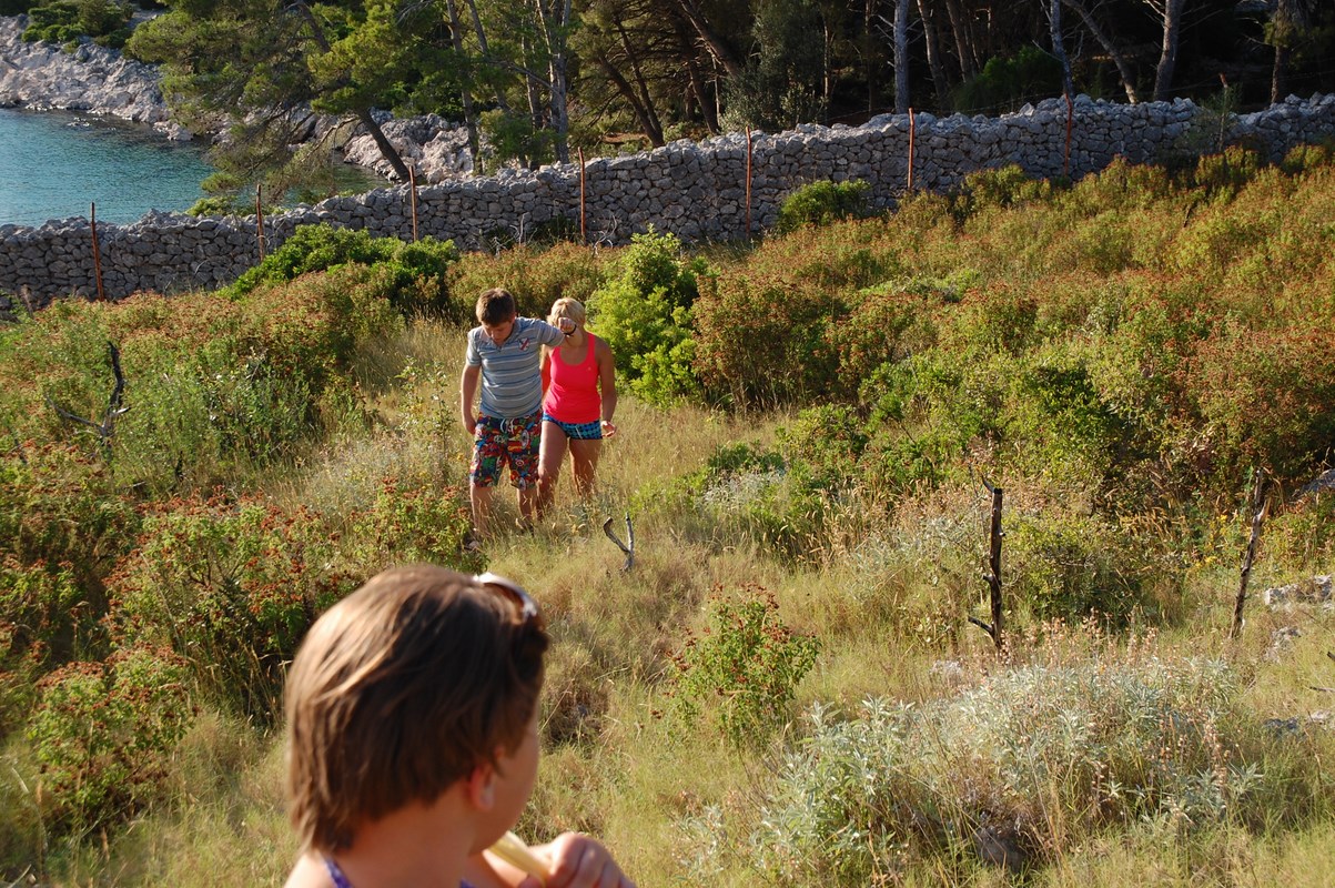 DSC_1500 (Kopiowanie).JPG